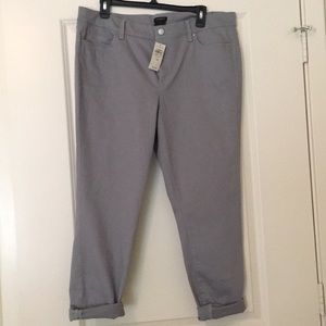 NWT Ann Taylor Modern Fit Grey Pants